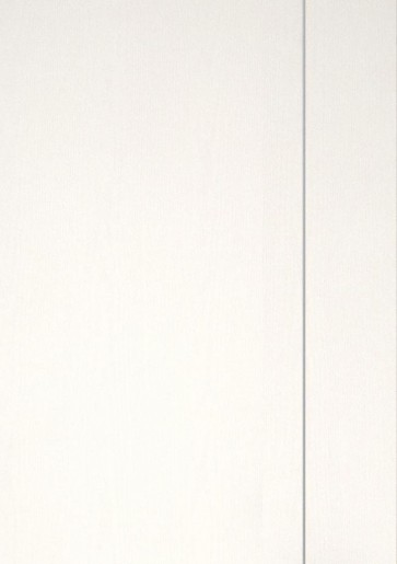Esche weiß Holzdesign CPL-Tür Muster mit Lisene L5