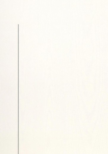 Esche weiß Holzdesign CPL-Tür Muster mit Lisene L8