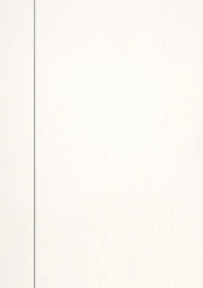 Esche weiß Holzdesign CPL-Tür Muster mit Lisene L4