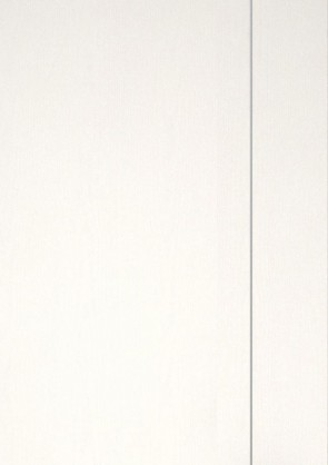 Esche weiß Holzdesign CPL-Tür Muster mit Lisene L5