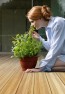 Garapa Holzdielen für Terrasse & Outdoor