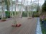 Bambus Terrassendielen Komplettset